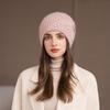 Autumn and Winter New Warm Ear Protection Knitted Hat Women's Wool Hat