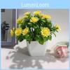 Simulated Daisy And Pine Cone With Durable Plastic Design For Indoor Use