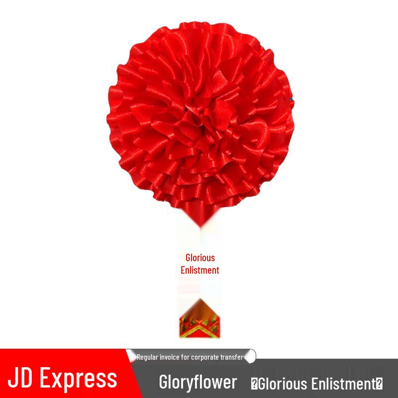 Iron Armor Kingdom Military Commemorative Items 13cm