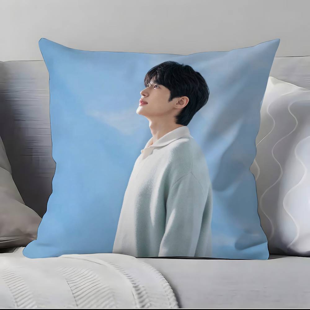 B-B-Byeon W-W-Woo-seok Pillow Case Pillowcase Soft Skin Friendly & Comfortable With A Hidden Zipper