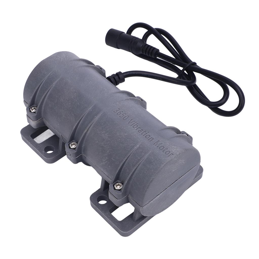 3650 Vibration Motor 3800RPM Double Eccentric Wheel Carbon Brush Vibrating Motor for Electric Bed Car Warning System