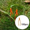 100x Clips Fijadores de Enredaderas de Plantas Herramienta de Jardín Compacta Versátil Suministro de Sujeción Tenedores Fresa