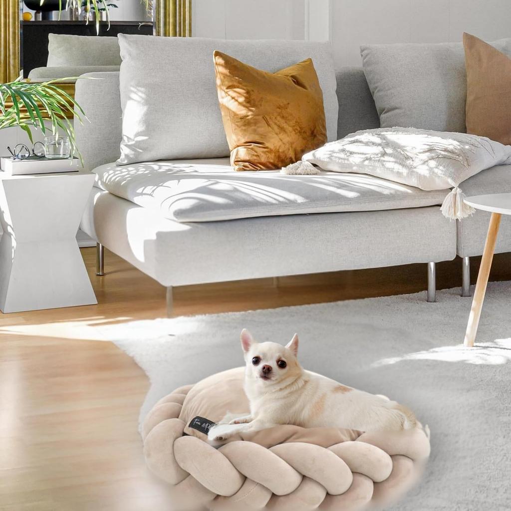 Fam Pet Premium Royal Comfort Bed for Small Dogs and Luxury Intuitively Attractive Suitable for Scandinavian Luxurious Space Your Pet Dreams of x 60W