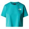 Womens/Ladies Simple Dome Cropped T-Shirt