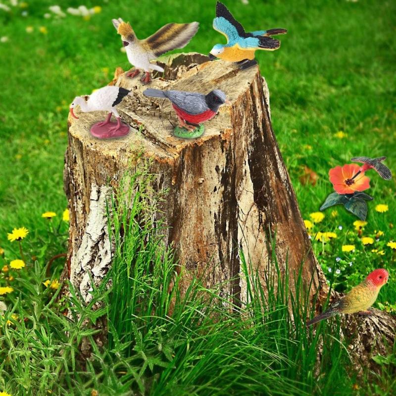 Realistic Bird Static Model Solid Figure Toy Animal Figurine Statue Fowl Figure Set Kids Collectible Toy Cake Toppers