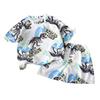 Cartoon Dinosaurier Sommer Jungen Kleinkind Zweiteiliges Set Mit Kurzarm Oberteil Und Shorts