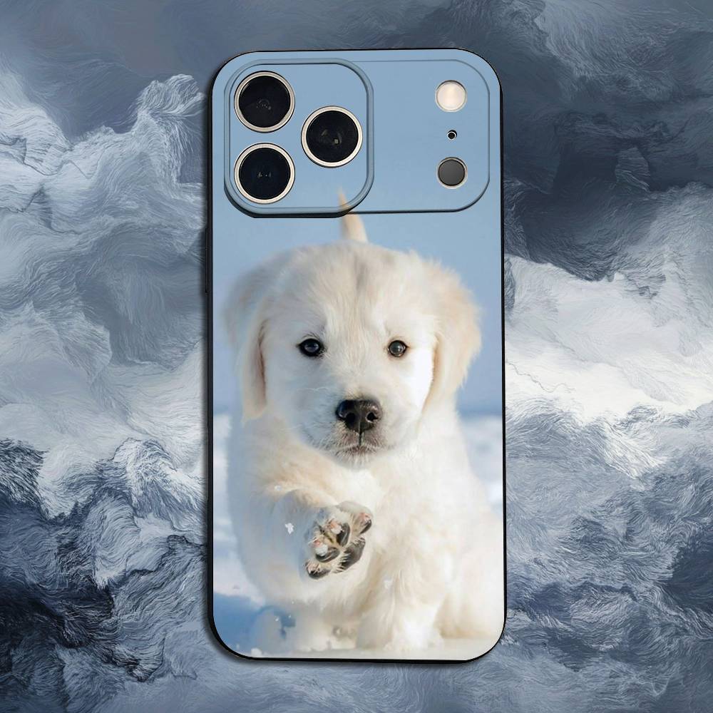 

Cute Maltese Dog Phone Case For iPhone 17,16,15,14,13,12,11,Plus,Pro Max,XS,X,XR,SE,Mini,8,7,Soft Silicone Black iPhone17Promax