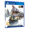 Jocul video PlayStation 4 KOCH MEDIA Black Desert Prestige Edition