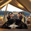 1pc French Bulldog Print Outdoor Blanket, Lightweight Polyester,