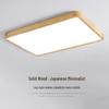 OEING Modern Minimalist LED Ceiling Lamp