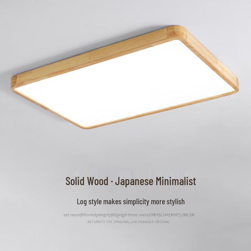 OEING Modern Minimalist LED Ceiling Lamp