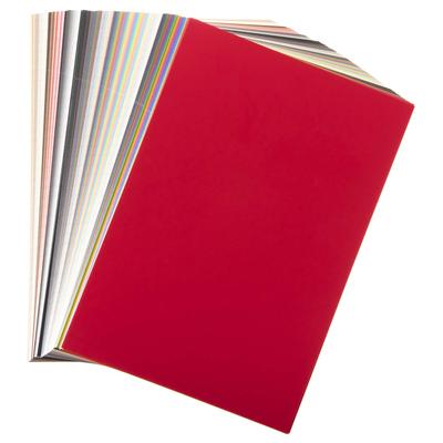 Nihonsikikenjigyo New Color Card 199c 12×17.5cm 50535