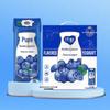 Mengniu Chunzhen Blaubeer-Joghurtgetränk