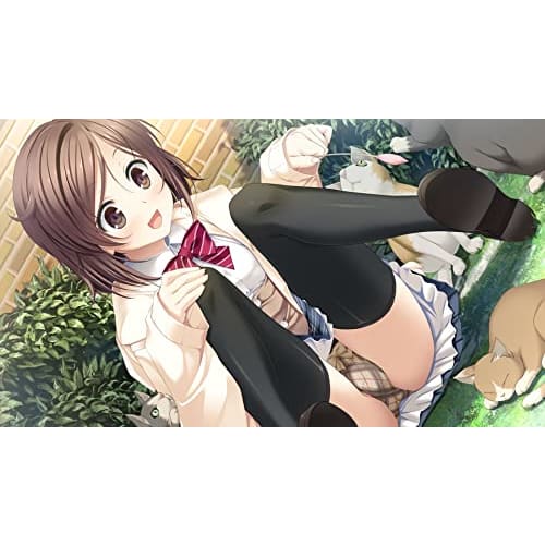 Kiss Trilogy - Switch