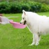 Plastic Pets Outdoor Drinking Bowl Pet Drinking Fountains  Pet Going Out Water Drinking Supplies