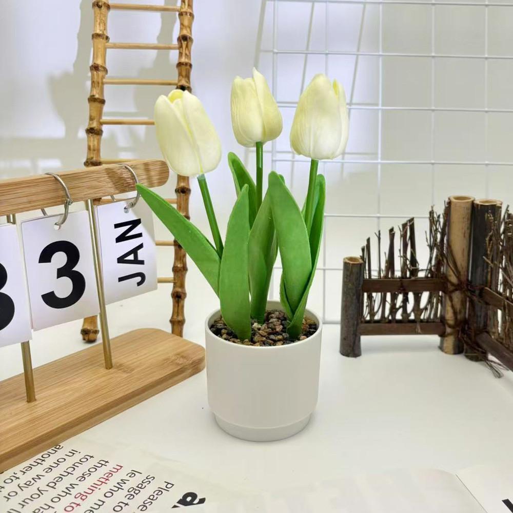 Tulpenblume Grüne Pflanze Flusssteine Bonsai Für Fotografie Und Bürodeko