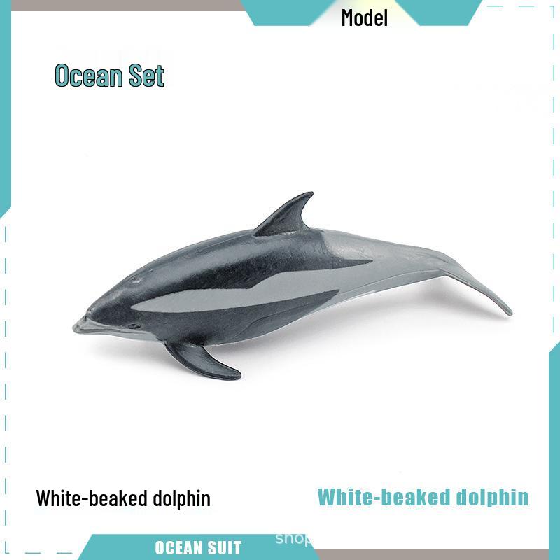 Children's Marine Animal Model Set: Mini Whale, Shark, Dolphin, Turtle, Sea Lion