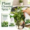 Reinigungsspray für Kunstpflanzen, Seidenblumen und