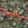 20 Pcs Durable Aluminum Alloy Rope Tensioner 3 Holes Lightweight Guy Line Adjuster Cord Tightener Camping