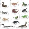 Detailed Pvc Frog Turtle Lizard Snake Chameleon Model Set For Nature Enthusiasts And Collectors