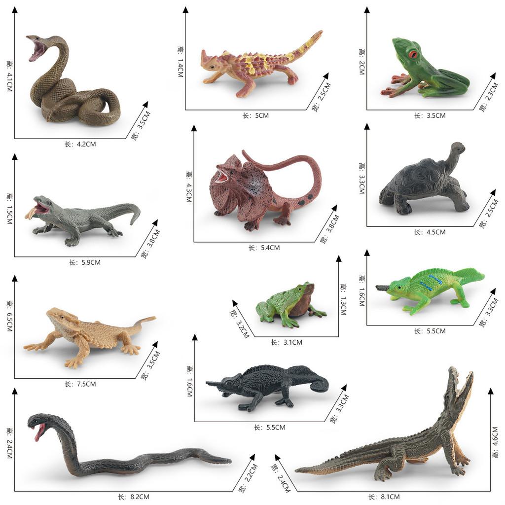 Detailed Pvc Frog Turtle Lizard Snake Chameleon Model Set For Nature Enthusiasts And Collectors