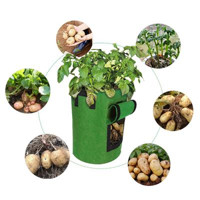 Potato Grow Bag Garden Planter Pot with Window Fastener Tape Flap Handle Design