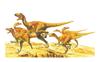 Tamiya 1/35 Dinosaur World Series No. 05 Velociraptor 6-Piece Plastic Model Kit 60105