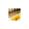 Hot Dog Funny Cat Bed Removable Washable Soft Pet Mat with Non-Slip Bottom for Dachshund Puppies Cats