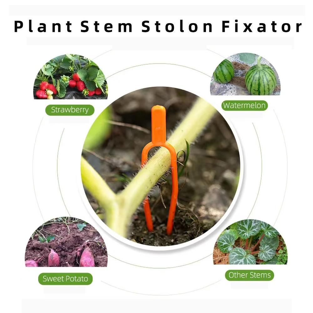 

100pcs Retainers Plant Stem Fixator 50/65CM Vine Fixing Fixture Reusable Strawberry Planting Forks