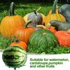 5er-Pack Pflanzen-Melonen-Stützen, Käfige, Halterungen, Rankgitter für Wassermelonen, Cantaloupe-Melonen, Kürbisse, Erdbeeren, Vermeidet Bodenfäule, Wiederverwendbar