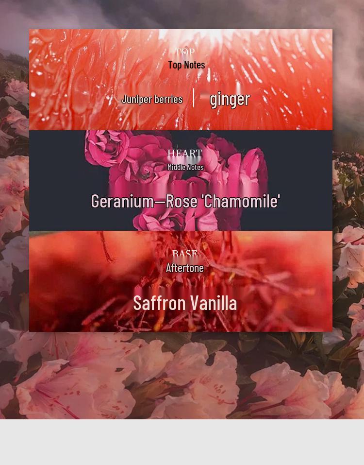 Anna's Fragrance Women's Perfume 100ml - Long-lasting Wild Rose Floral Sweetheart Eau De Toilette