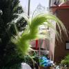 Christmas Green Hair Branch Furry Green Curly Picks Handmade Green Elf Stems for Xmas Tree Topper Holiday Home Decor