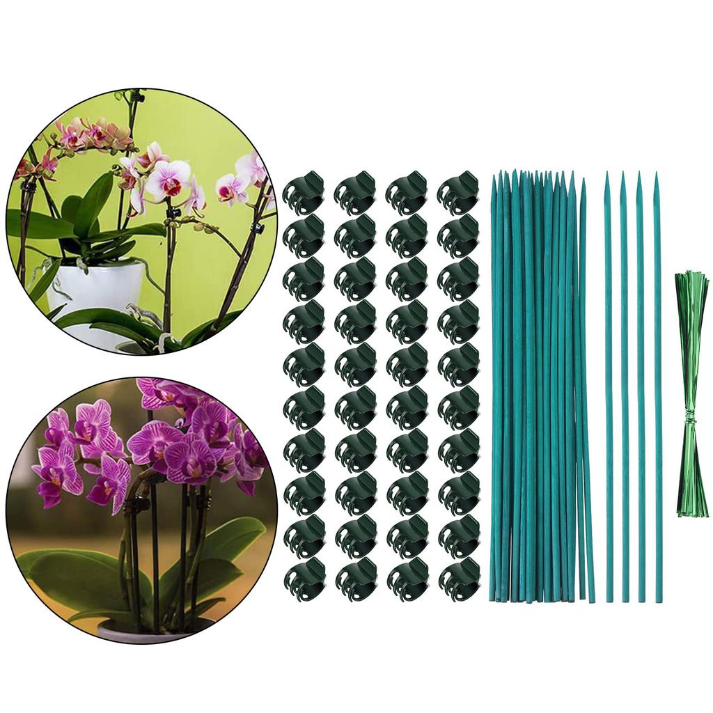 Garden Plant Stakes With Clip Heavy Type Plastic Support Poles For Climbing Vine Flowers Regulable Length Outdoor Use