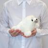 AQUA Plush Toy Marine Baby Seal New Model SS 00100099
