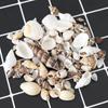1 Pack Fish Tank Supplies Mix Style Natural Shell Conch Aquarium Landscape Tiny Sea Shell Beach Decoration Party Diy Crafts