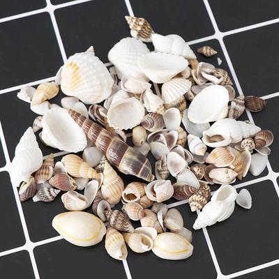 1 paquet de fournitures pour aquarium, mélange de styles, coquillages naturels, conques, paysage d'aquarium, minuscules coquillages, décoration de plage, fête, bricolage