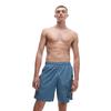 Lacoste Mens Logo Swimming Trunks