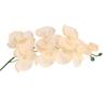 Vibranted Silk Butterfly Orchids Branch Reusable for Wedding Ceremonial Decorations and Interior Designs Projects