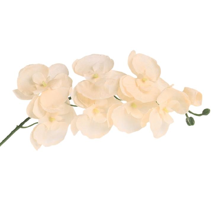 Vibranted Silk Butterfly Orchids Branch Reusable for Wedding Ceremonial Decorations and Interior Designs Projects