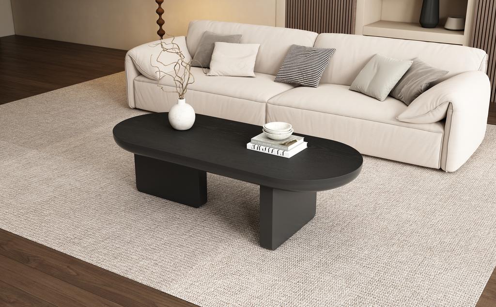 N625P300081S) 119.7*49.8*35.5 cm Black Modern Minimalist Coffee Table, Spray-Painted Living Room Table, Oval, MDF