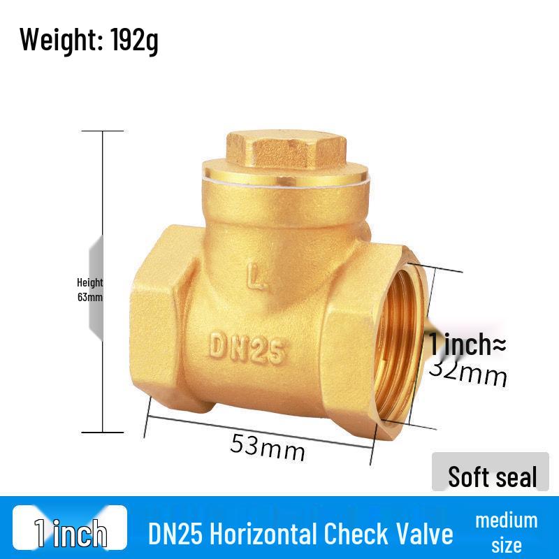 Durable Brass Horizontal Check Valve - Anti-Backflow, Fully Automatic, 6 Points for Tanks and Pipes