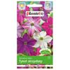 Winged Tobacco 0.3g Flower Seeds for the Garden