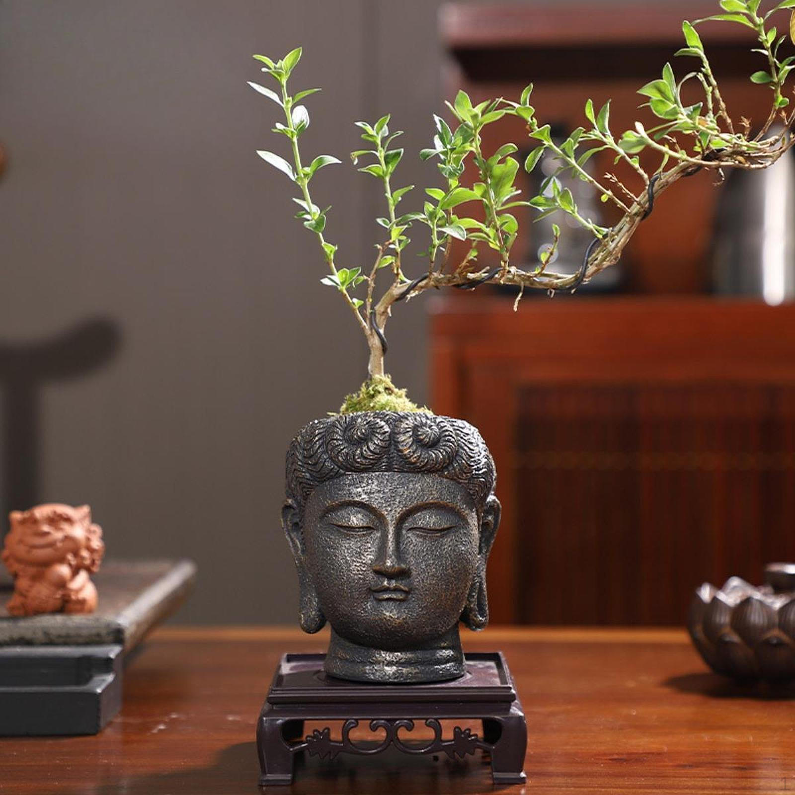 Голова Будды смола кашпо ,Цветочный горшок ,Фигурка Будды ,Декоративный контейнер ,Ваза для цветов ,Декоративный Style A