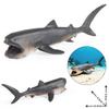 Children's Marine Animal Cognitive Model: Shark, Megalodon, Tiger Shark - Desktop Toy Ornament
