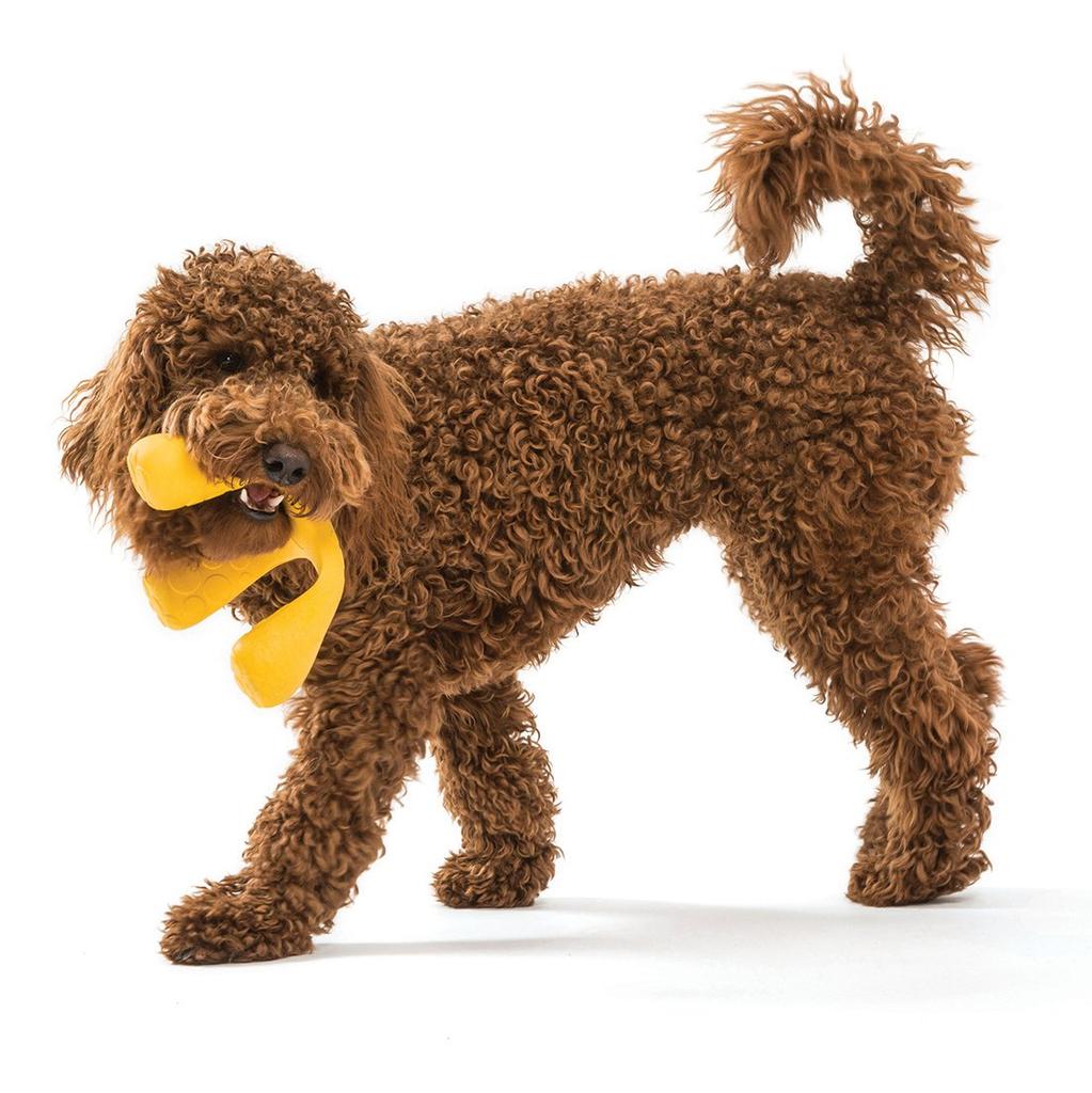 West Paw Zogoflex Air Wox Dog Currant Toy, (Dark Pink)