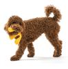 West Paw Zogoflex Air Wox Dog Currant Toy, (Dark Pink)