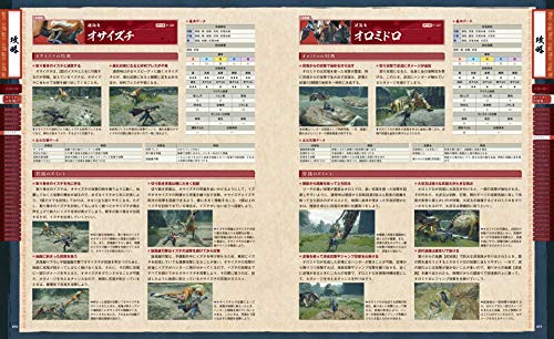 Monster Hunter Rise Strategy Guide