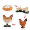 Static Poultry Animal Model With Incubation Process Display For Kids Educational Toy