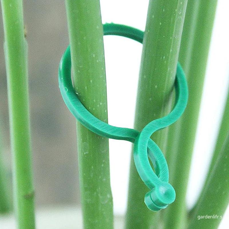 20/50/100Pcs Plastic Garden Vine Strapping Clips Tie Plant Bundled Buckle Ring Garden Tomato Grapevine Hook Plants Support Tool