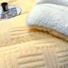 Solid color Tafu velvet jacquard quilt core autumn and winter quilt warm velvet simple wind thick quilt